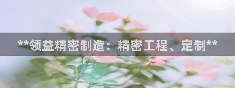 彩神ix官网是哪个公司的：**领益精密制造：精密工程、定制**