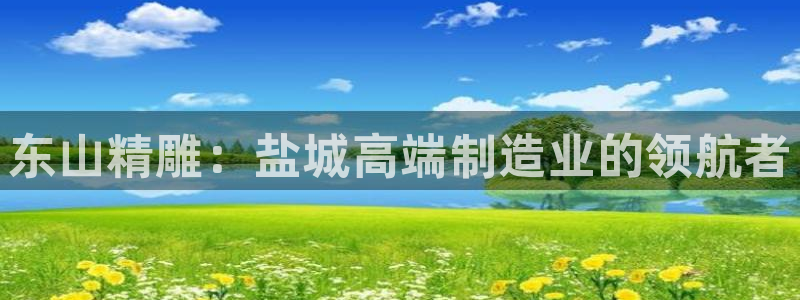 彩神趣购彩用户注册：东山精雕：盐城高端制造业的领航者