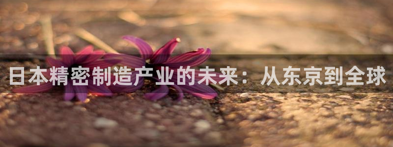 下载彩神v8：日本精密制造产业的未来：从东京到全球