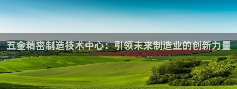 彩神购彩-购彩大厅入口：五金精密制造技术中心：引领未来制造业的创新力量