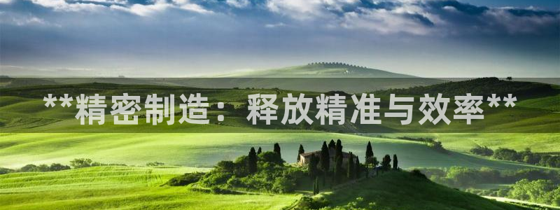 彩神V3大赢家：**精密制造：释放精准与效率**