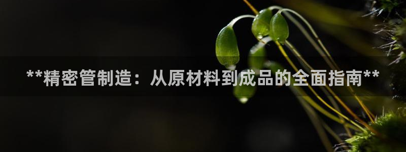 彩神Vll购彩大厅：**精密管制造：从原材料到成品的全面指南**