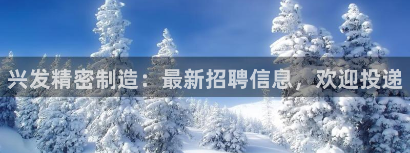 彩神v8几个版本：兴发精密制造：最新招聘信息，欢迎投递