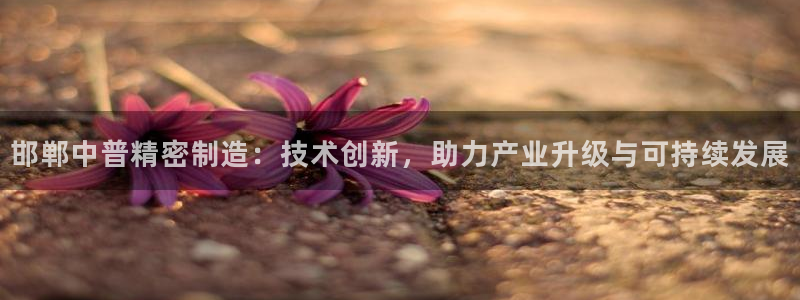 彩神网可以赚钱是真的吗：邯郸中普精密制造：技术创新，助力产业升级与可持续发展