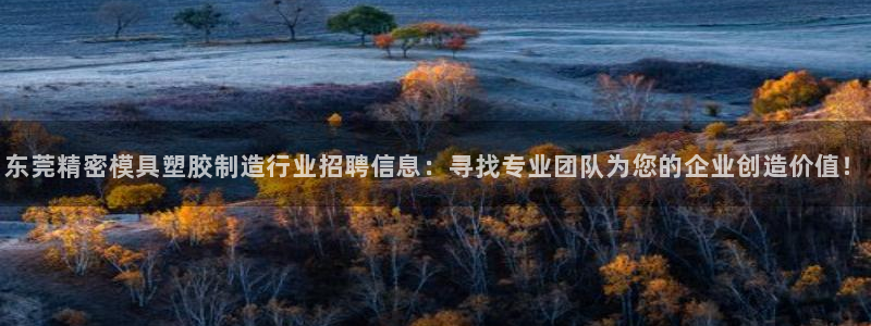 彩神v争霸有限公司