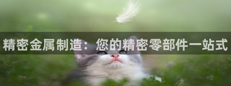 彩神平台是什么套路：精密金属制造：您的精密零部件一站式