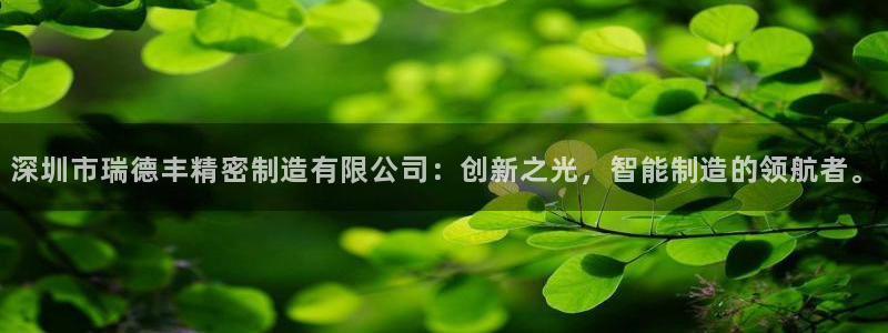 彩神骗局：深圳市瑞德丰精密制造有限公司：创新之光，智能制造的领航者。