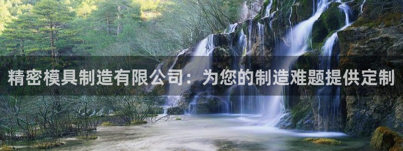 彩神怎么才能赢：精密模具制造有限公司：为您的制造难题提供定制