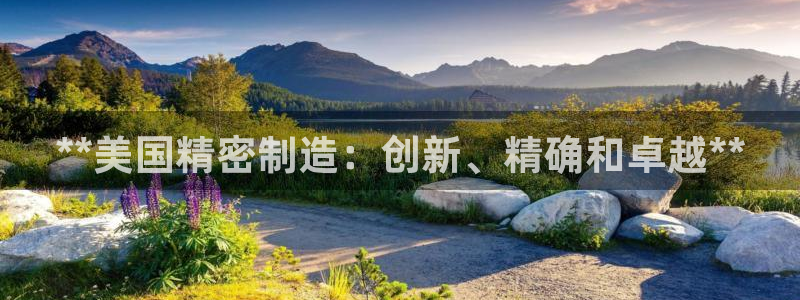 彩神盈利图片：**美国精密制造：创新、精确和卓越**