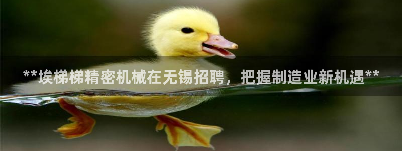 彩神这个平台是真的吗：**埃梯梯精密机械在无锡招聘，把握制造业新机遇**