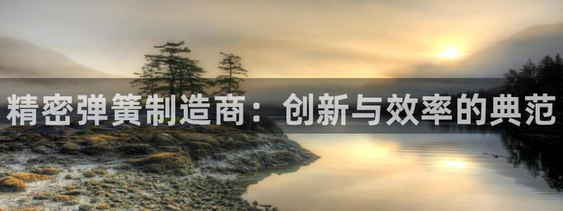 彩神怎么才能赢：精密弹簧制造商：创新与效率的典范