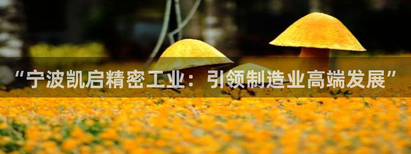 彩神vll官网-最新版app下载：“宁波凯启精密工业：引领制造业高端发展”