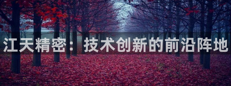 彩神大发云：江天精密：技术创新的前沿阵地