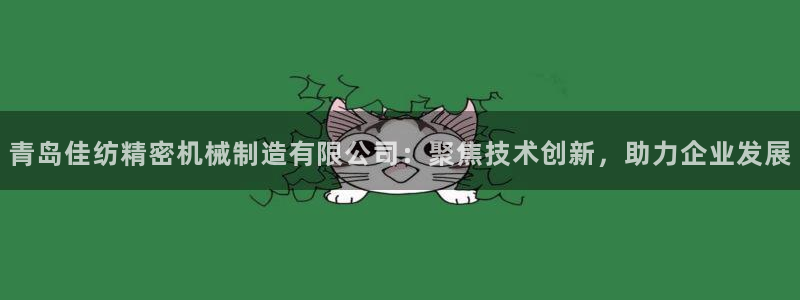 彩神购彩-购彩大厅入口：青岛佳纺精密机械制造有限公司：聚焦技术创新，助力企业发展