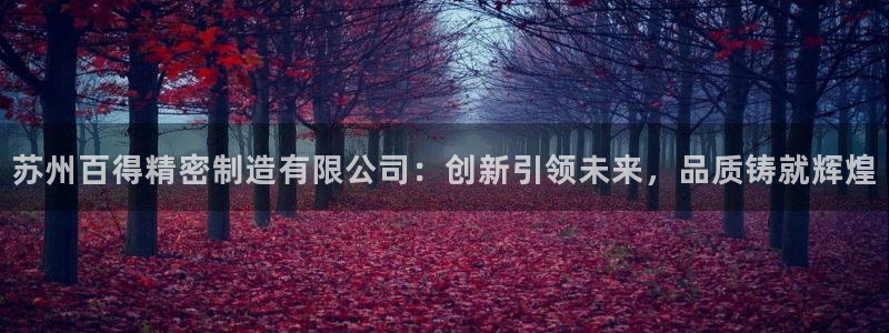 彩神争霸平台：苏州百得精密制造有限公司：创新引领未来，品质铸就辉煌