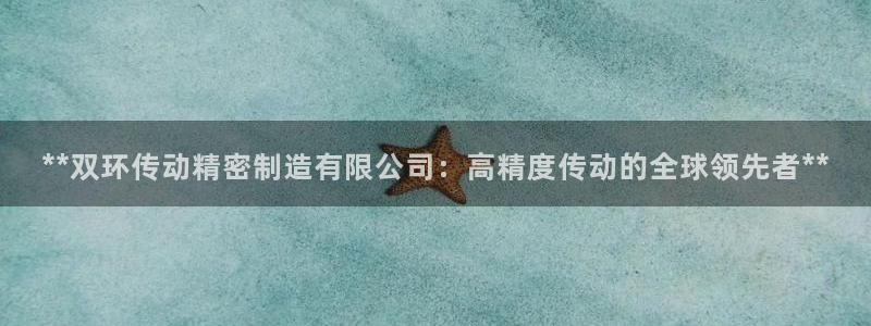 彩神v8官网版：**双环传动精密制造有限公司：高精度传动的全球领先者**