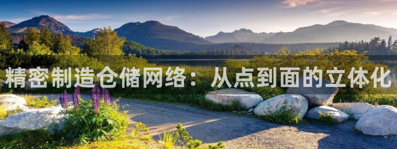 彩神购彩-购彩大厅入口36fr：精密制造仓储网络：从点到面的立体化