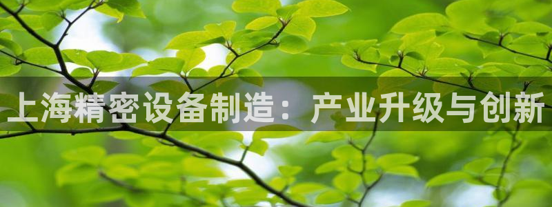 彩神邀请码:00-00-3267：上海精密设备制造：产业升级与创新