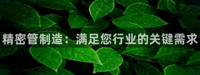 彩神v8平台正规吗可靠吗：精密管制造：满足您行业的关键需求