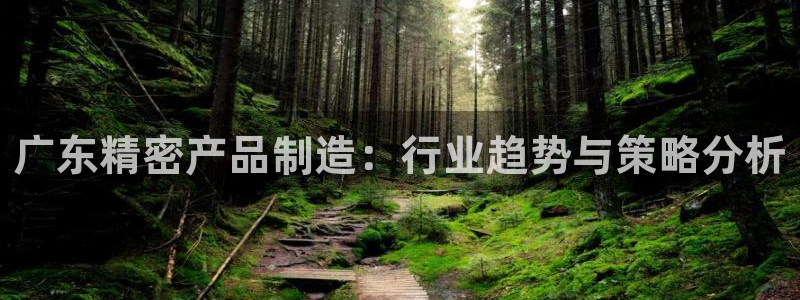 彩神v8手机客户端怎么下载：广东精密产品制造：行业趋势与策略分析