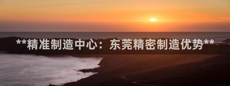 彩神v8手机客户端下载：**精准制造中心：东莞精密制造优势**