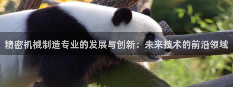 彩神新微聊：精密机械制造专业的发展与创新：未来技术的前沿领域
