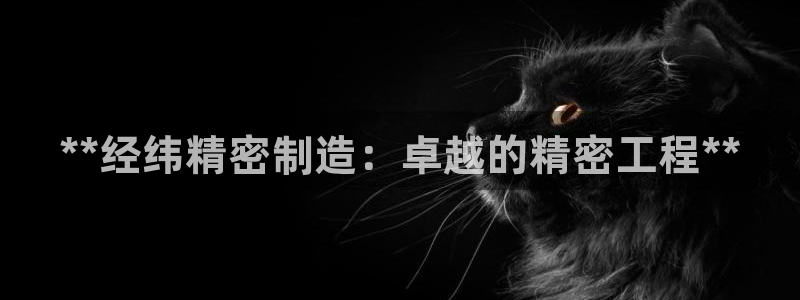 彩神v8是真的挣钱吗：**经纬精密制造：卓越的精密工程**