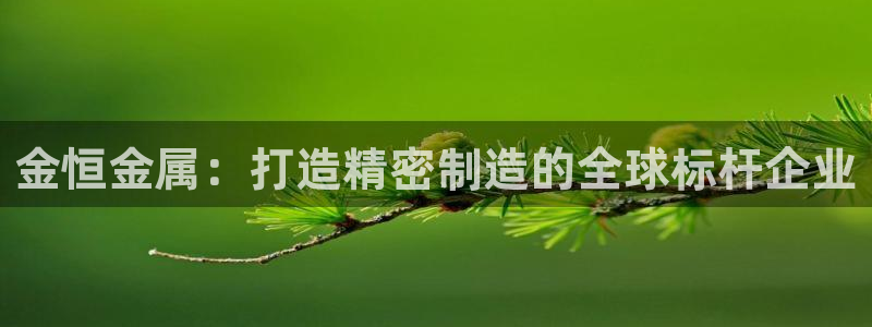 彩神v8下载app：金恒金属：打造精密制造的全球标杆企业