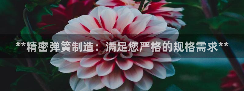 彩神vlll(中国)百度百科：**精密弹簧制造：满足您严格的规格需求**