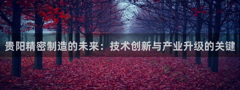 彩神VI首页：贵阳精密制造的未来：技术创新与产业升级的关键