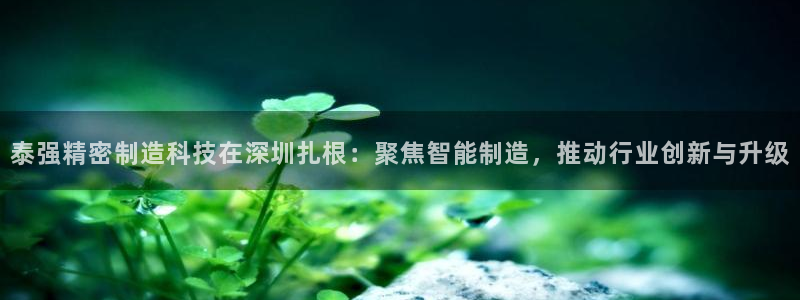 彩神8最新版下载：泰强精密制造科技在深圳扎根：聚焦智能制造，推动行业创新与升级
