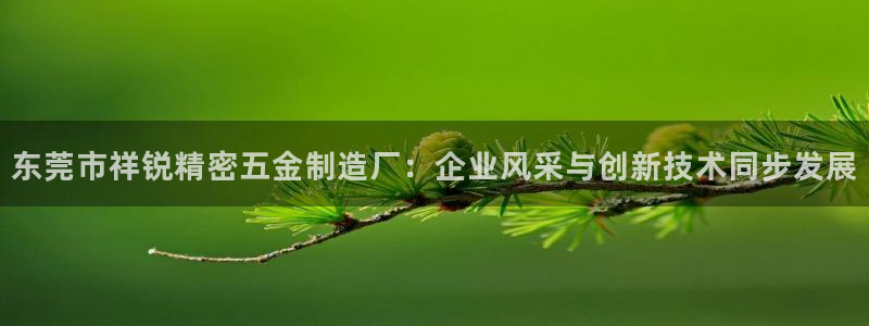 彩神8购彩-购彩大厅：东莞市祥锐精密五金制造厂：企业风采与创新技术同步发展