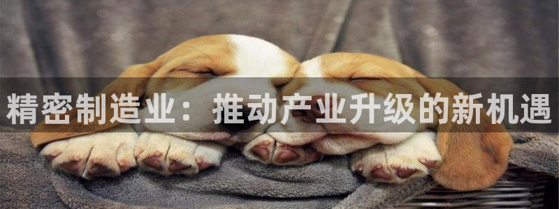 彩神v8购彩大厅登：精密制造业：推动产业升级的新机遇