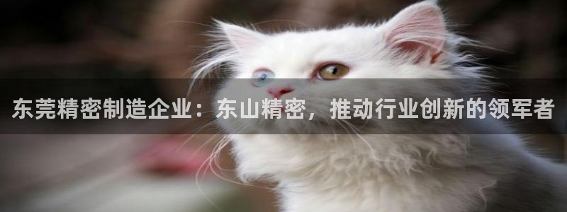 彩神V购彩大厅：东莞精密制造企业：东山精密，推动行业创新的领军者