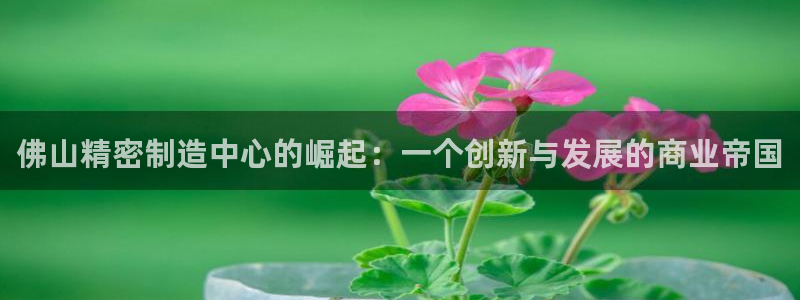 彩神vl购彩大厅：佛山精密制造中心的崛起：一个创新与发展的商业帝国