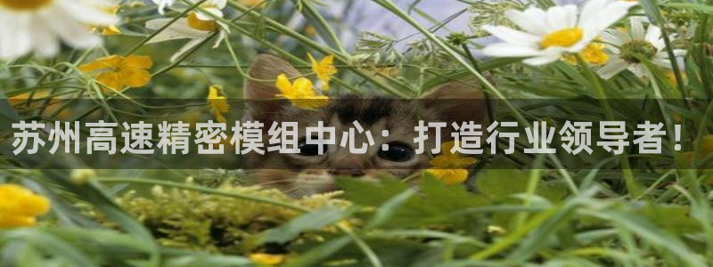 彩神是正规平台吗是真的吗：苏州高速精密模组中心：打造行业领导者！